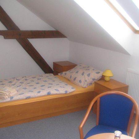 Pension Smetanuv Statek Hradec Kralove Bagian luar foto