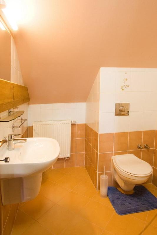 Pension Smetanuv Statek Hradec Kralove Bagian luar foto